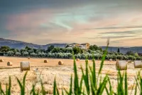 Agriturismo Regno Verde Hotels in Narni
