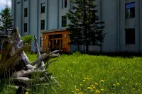 Da Hinggan Ling Yunxi Forest Scenery Yangxin Valley