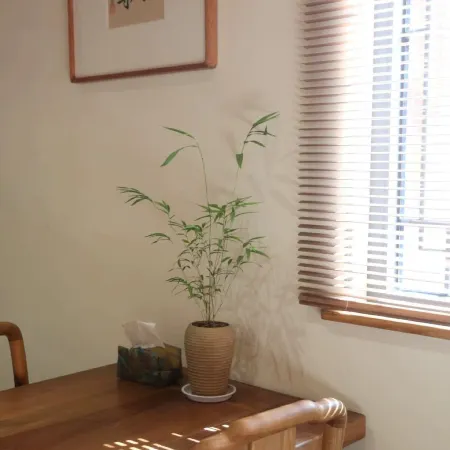 YiQin Homestay