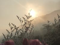 广州南山云溪山居 - 大露台双床房