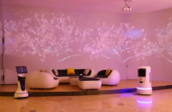 Smart Hotel for You (Kashgar Banchao Road)