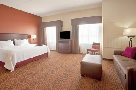 Hampton Inn & Suites Minneapolis-St.Paul-Airport Отели в г. Форт Снеллинг Юнорганизед Территори
