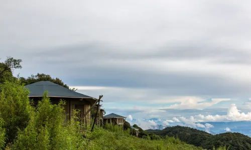 Vinetree Southern Silk Road Tented Resort ( Gaoligong）