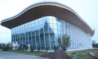 Xiong'an Aquarium Light Luxury Hotel