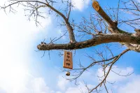 ZHI SHAN HOT SPRING .DESIGN  HOMESTAY