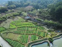 Greenery Home Guesthouse