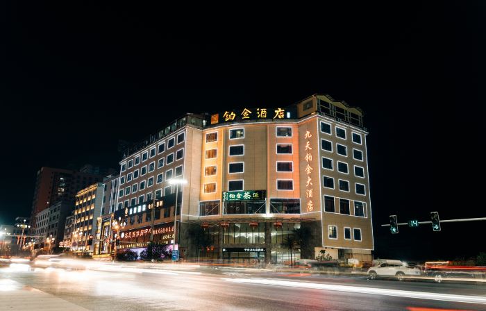 Platinum Hotels