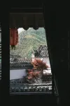 禪語棲苑民宿（盧村店） - 山景