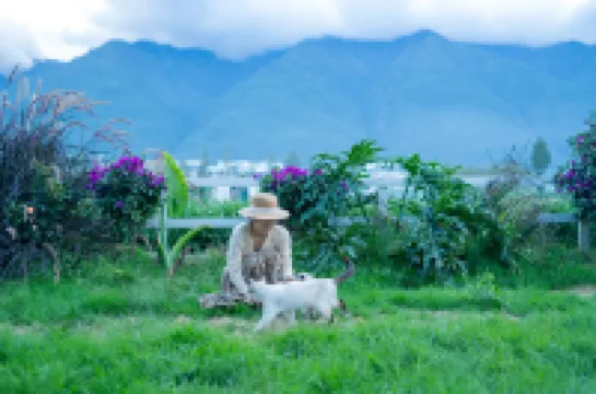 See the green mountains again