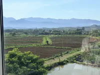 Minshan Cuicui Homestay (Jiujiang Lushan Airport Branch) - pemandangan pegunungan