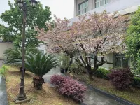 Liupanshui Liuzhi Hotel Hotels in 