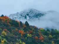 大邑首峰别苑 - 其他