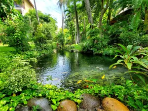 Bamboo Village Beach Resort & Spa