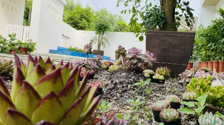 Bailu Xiaoye Tent Homestay Отели рядом с достопримечательностью «Bailu Monastery»