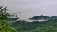 雲和梯田拾玖號民宿 - 山景