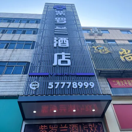 Violet Hotel