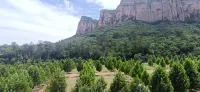 Qibugou Xiaohou Farm