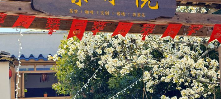 XJ•TXY Hotels in Pingnan