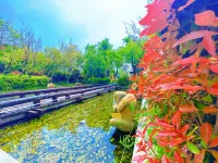 Haiyang Bohai Xiaozhu Homestay