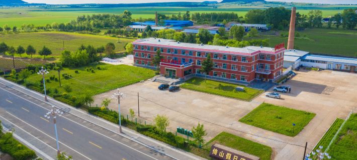 Wudalianchi Yishan Holiday Hotel Hotels in Wudalianchi City