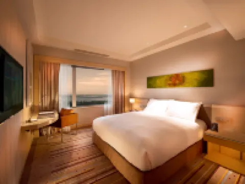 新山市希爾頓逸林酒店 新山酒店