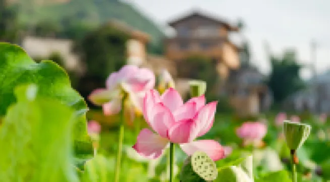 宜良七彩夢鄉民宿（九鄉麥地沖店）