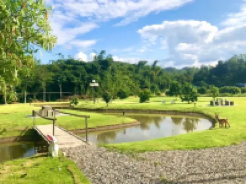 樹景山景度假村 杭東酒店