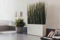 Quarter by the Warren Collection Hotels in Belfast