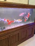 Fuhui Hotel (Jianshui Zitao Street) - 2 stjerner