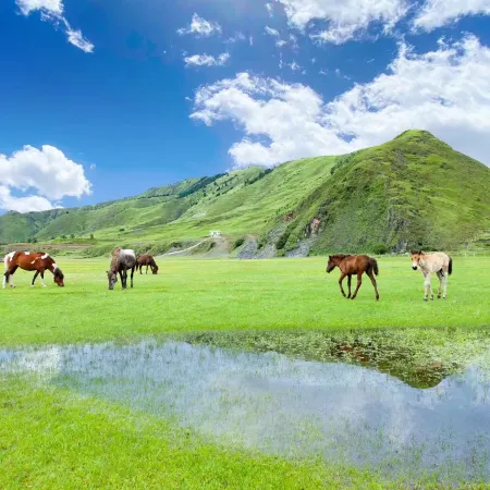Star Hui Hotel (Kangding Xindu Bridge shop