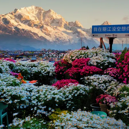 Date jade dragon snow mountain view guest house