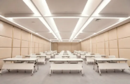 REZEN PROYAL HL（Xishuangbanna Jinghong Gaozhuang Starlight Night Market Store）