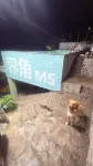 界角·Luxury山景庭院觀景休閑度假美宿（龍王山漂流店） - 無邊際泳池