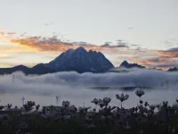 Yala Muyun Snow Mountain Secret Homestay - 발코니