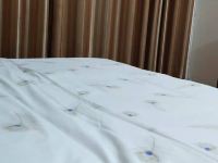 百色丽佳商务宾馆 - 标准大床房