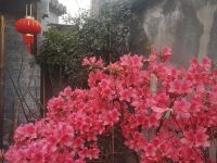 泾县先得月客栈 - 花园