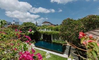 Pronoia Villa Bali