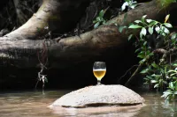 Explorer by Eco Team - Wasgamuwa National Park Hotels in Matale
