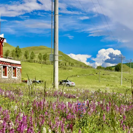 MuyaGenpei inn