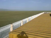 Shipping Container Homestay