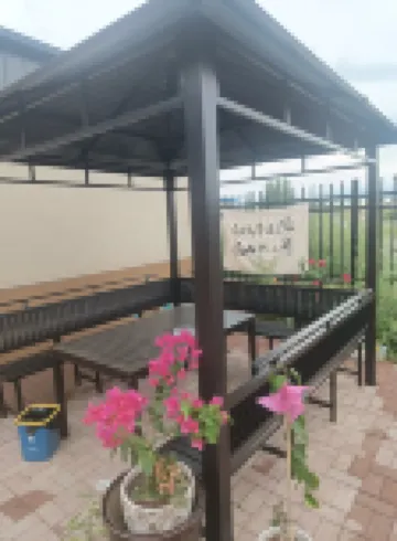 Taoli Downtown Homestay