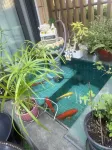 hailanbao - en bord de mer