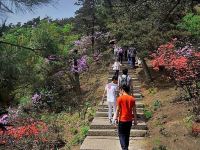 九华山云水别院 - 酒店附近