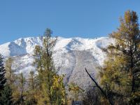 喀纳斯金松鼠客栈 - 酒店外部