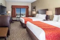 Gray Wolf Inn & Suites - spa