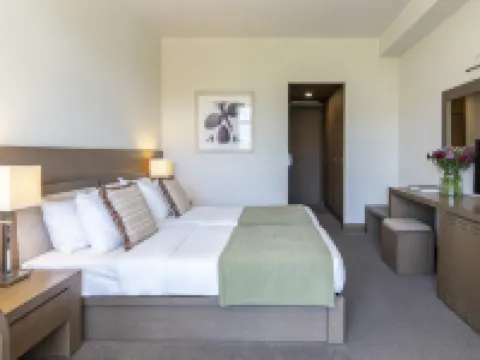 アマリア ホテル アテネ アテネのホテル