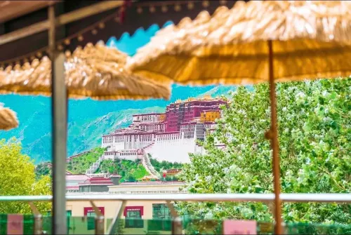Thangka Hotel Hotels in Lhasa