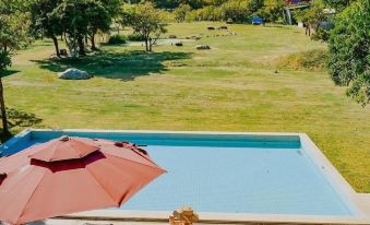 Grandma's Kenting