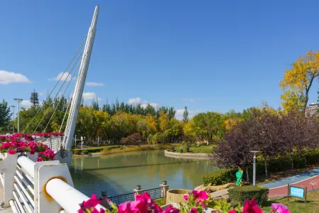 Shihezi Kyushu Jincheng Hotel Отели рядом с достопримечательностью «Shihezi University - South District»