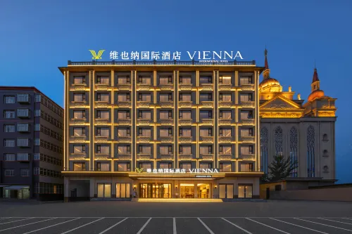 Vienna International Hotel (Shijiazhuang Xinle Hebei Academy of Fine Arts) - Gym